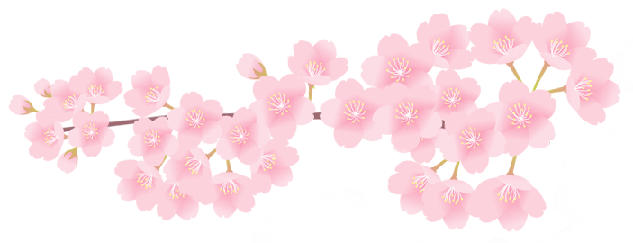 桜画像